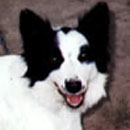 Suzi was adopted in April, 2004